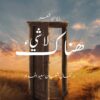 ديوان شعر "لاشئ هناك"